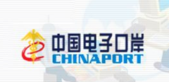 中国电子口岸